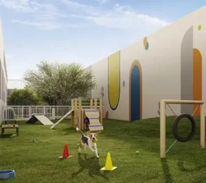 Pet place e dog washas